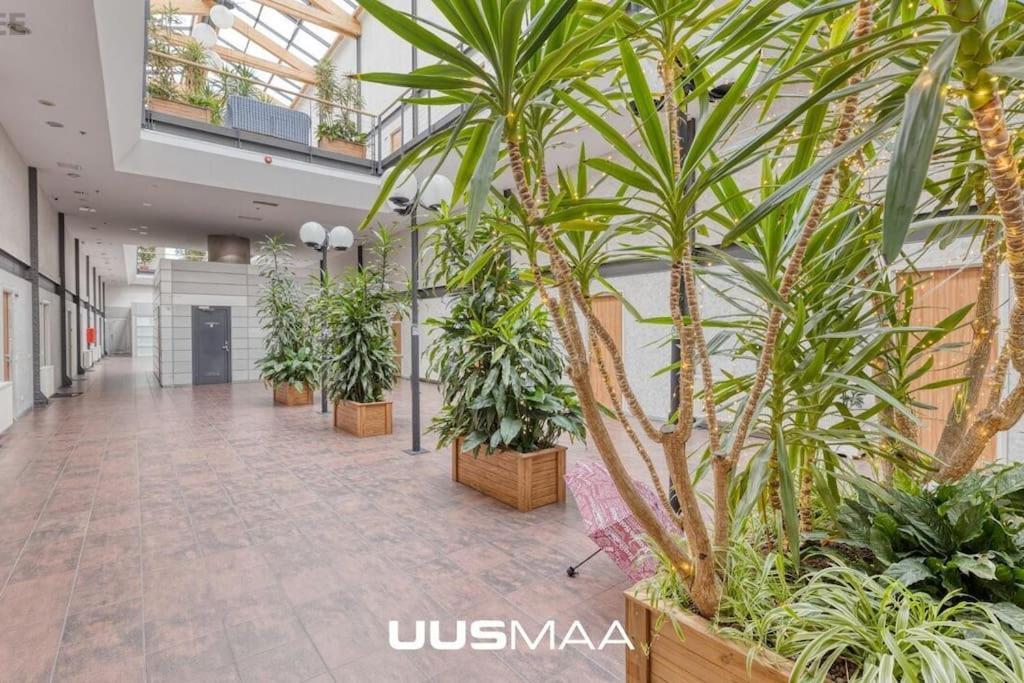Charming Loft Near Old Town Apartment ทาลลินน์ ภายนอก รูปภาพ